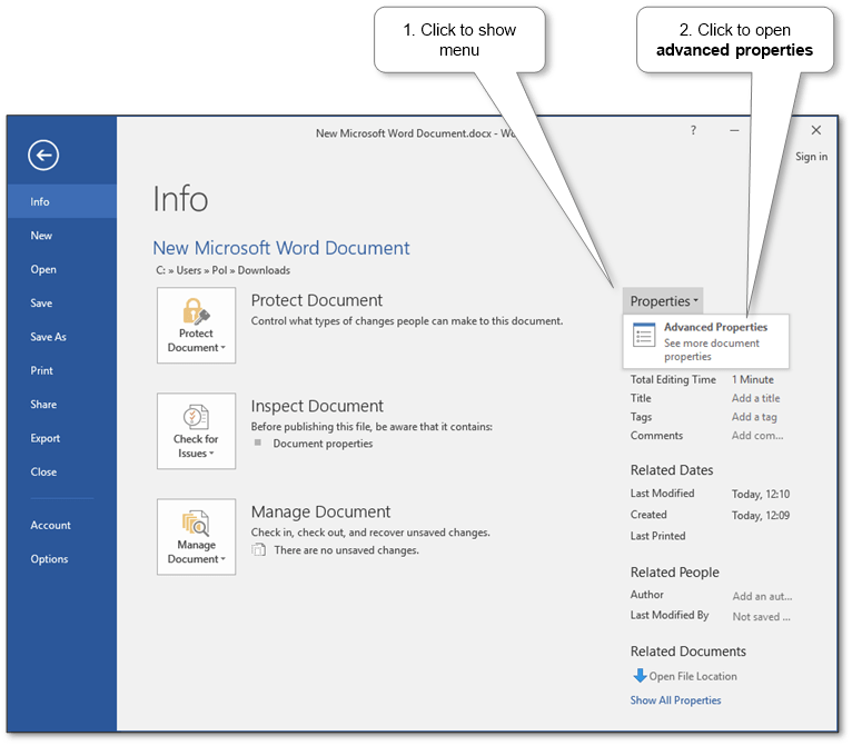 ms-word-document-properties-advanced-location