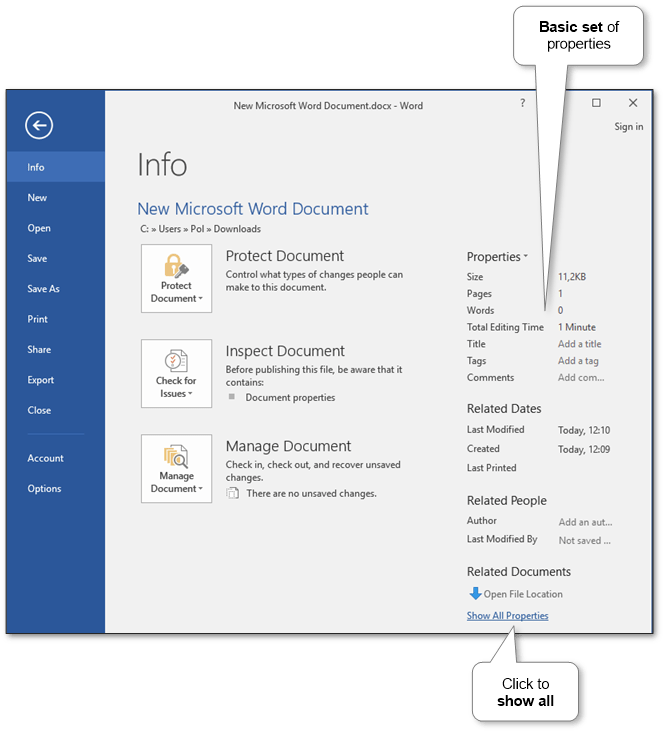 ms-word-document-properties